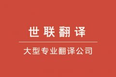 �������빫˾���ҹ۲죺2017���ȫ���˹����ܷ��뷢չ����