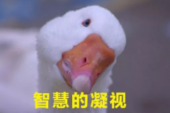 ��θ߼���ί��ر����ܴ����� ����7�ָߴ��ϵ�˵��