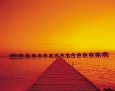 �������빫˾�������רҵ�����﷭��