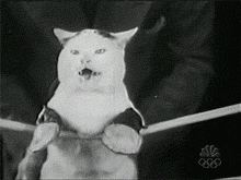 �������빫˾�����˸�����������ӣ�������һ�ں�סͷ��������