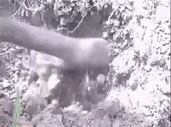 ͼ��Ц����������ӵ�еģ��������Ǳ������������