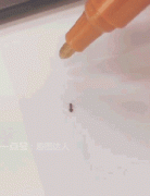 ��������һ�Ѽ����������������ˣ�