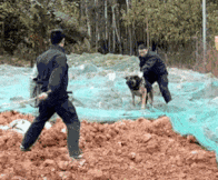 ��ЦGIFͼ9�ţ�һ�ٲ������绢��һ��ս�������