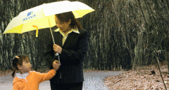 ����רҵ���빫˾���������Ƶ�������ķ���