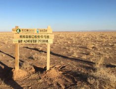 ����ɭ���ٻ����Ϲ���������ʿ�����������˼�������