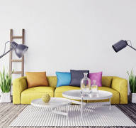 רҵ��Ļ����-רҵ���Ϸ���